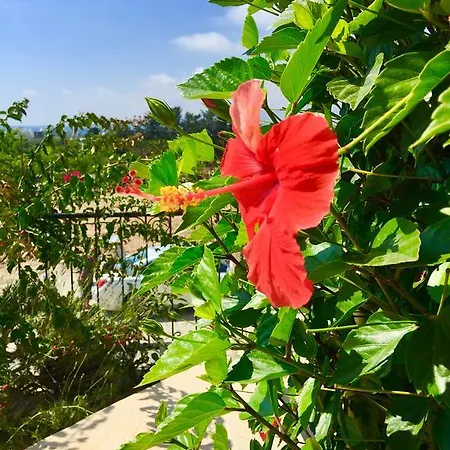 Villa Charming Walk To Sea *